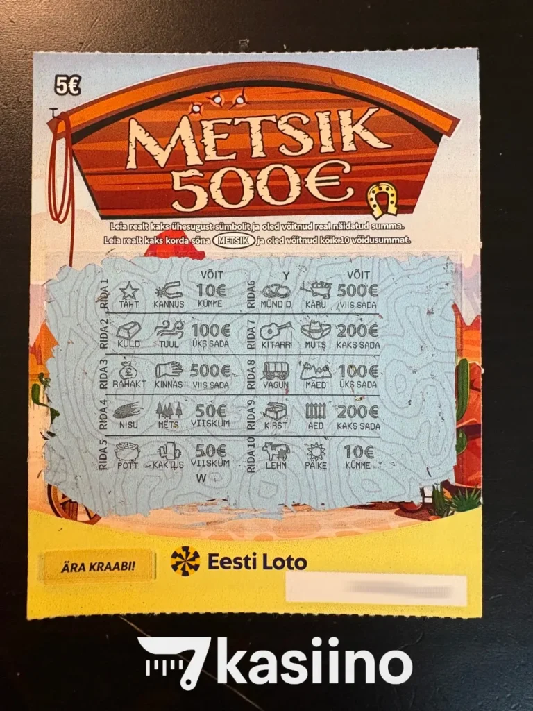 Metsik 500 - Pärast - Kiirloteriid